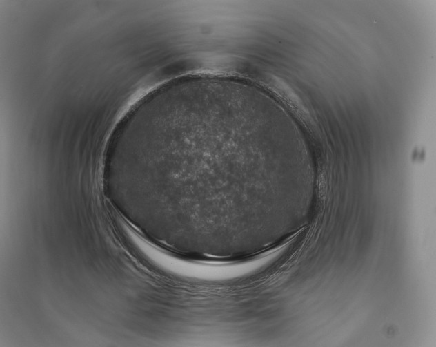 X0000094460484200711151453
