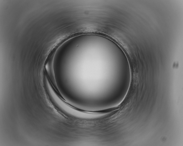 X0000094460485200711151453