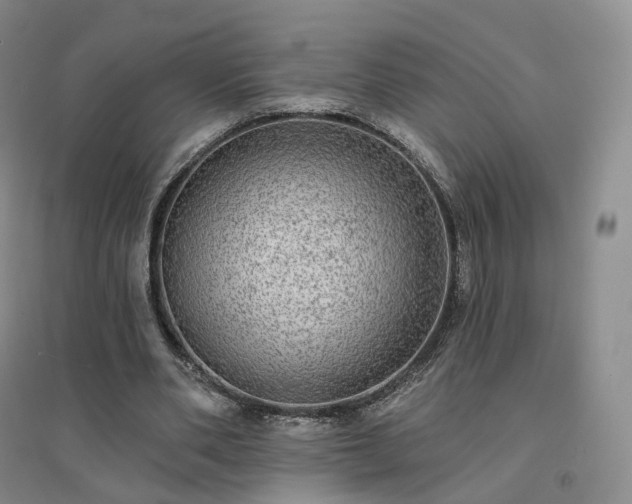 X0000094460486200711151453