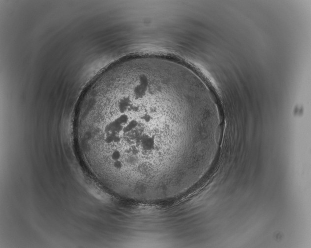 X0000094460487200711151453