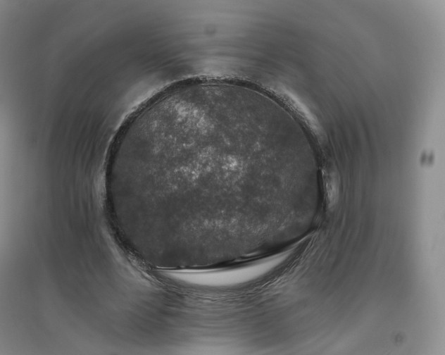 X0000094460488200711151453
