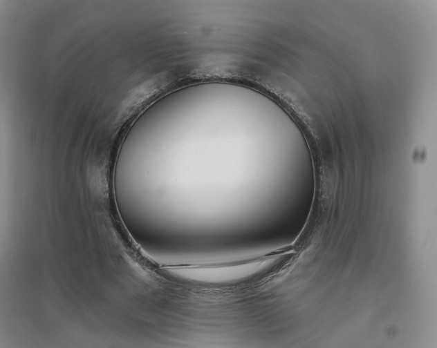 X0000094460489200711151453
