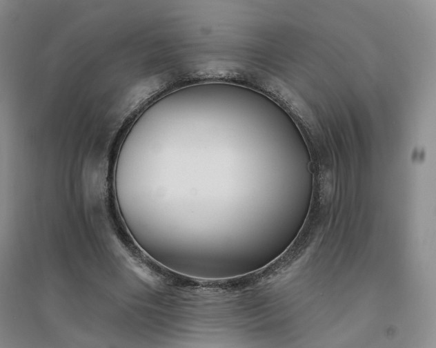 X0000094460490200711151453