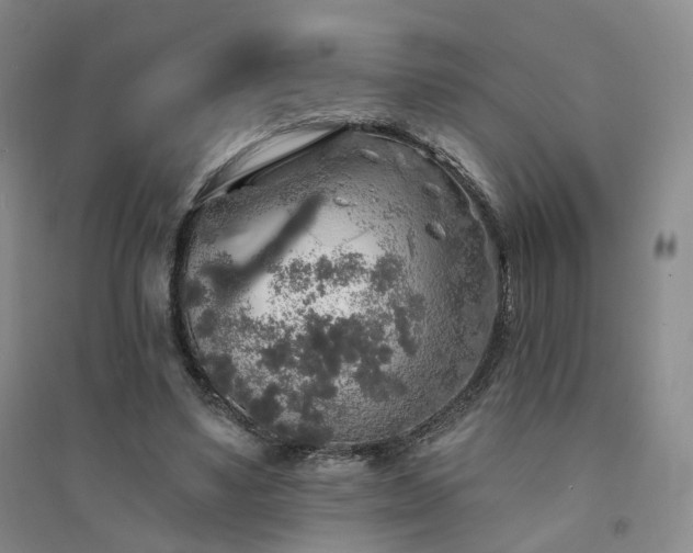 X0000094460491200711151453