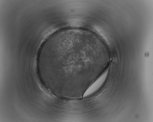 X0000094460492200711151453