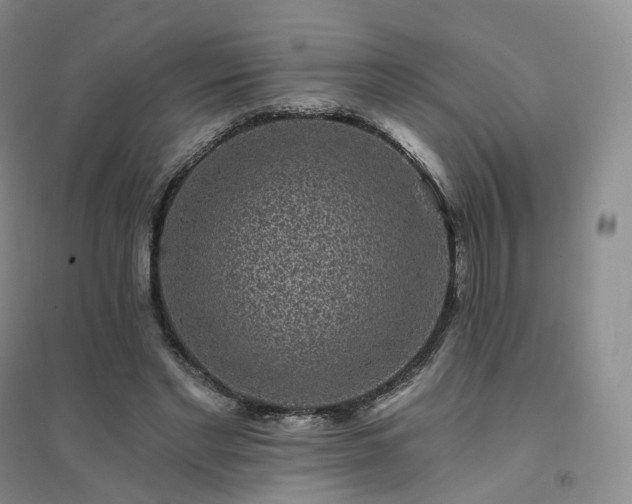 X0000094460493200711151453
