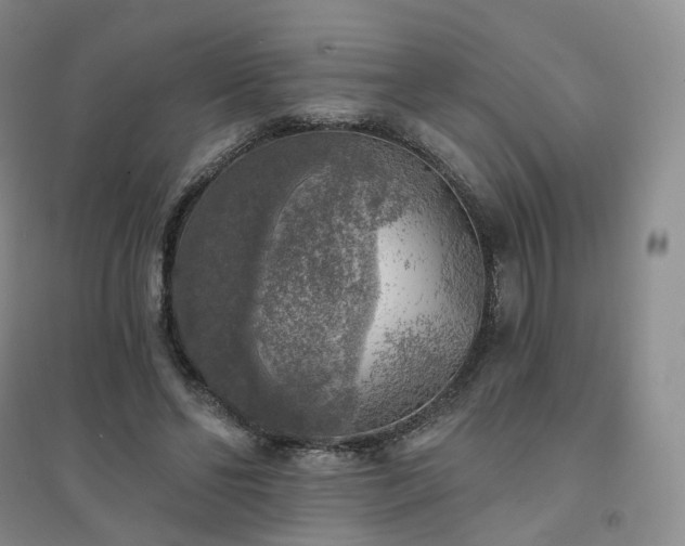 X0000094460494200711151453