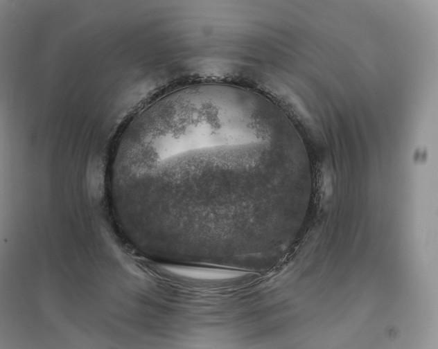 X0000094460496200711151453