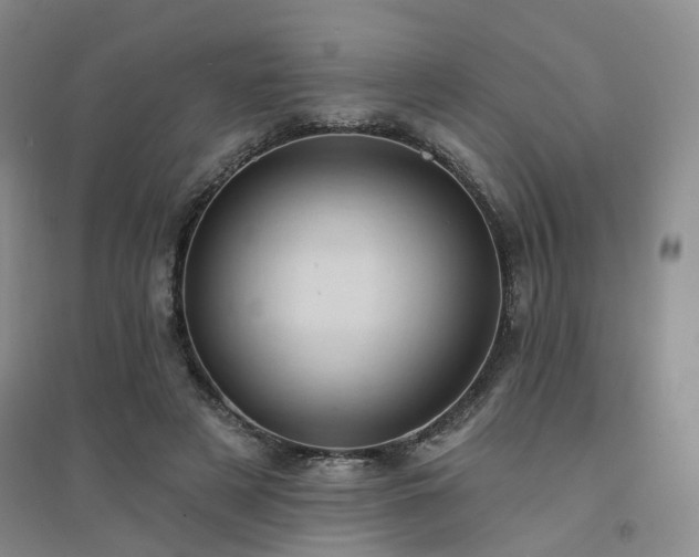 X0000094460497200711151453