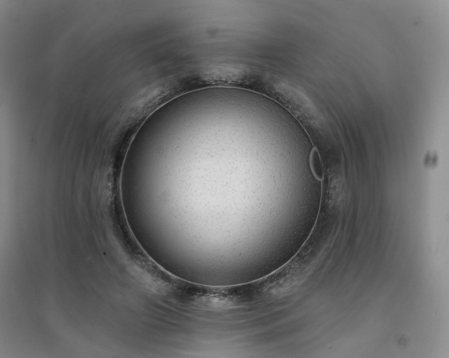 X0000094460498200711151453