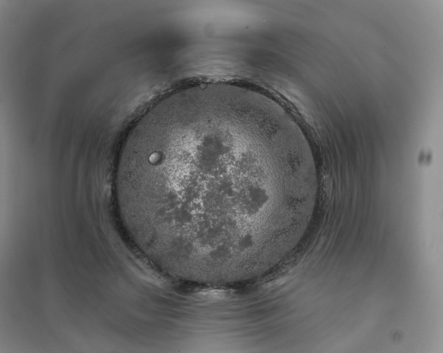 X0000094460499200711151453