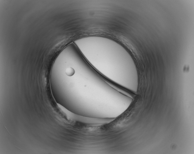 X0000094460501200711151453