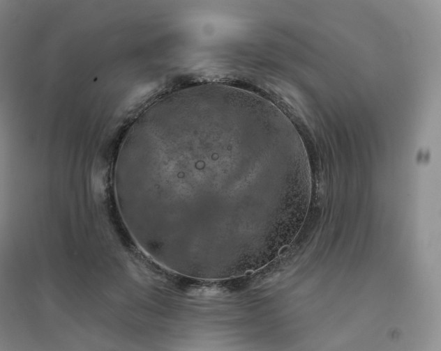 X0000094460503200711151453