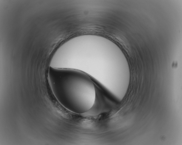 X0000094460504200711151453