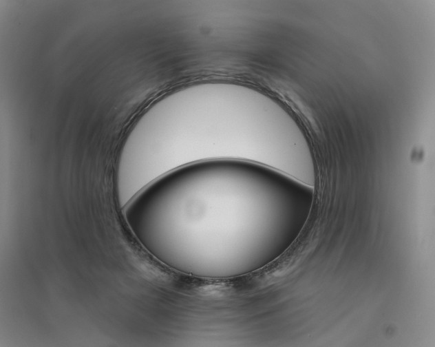 X0000094460505200711151453