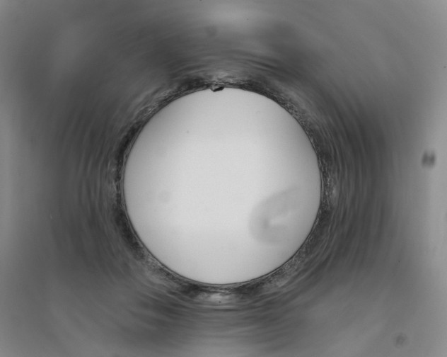 X0000094460506200711151453