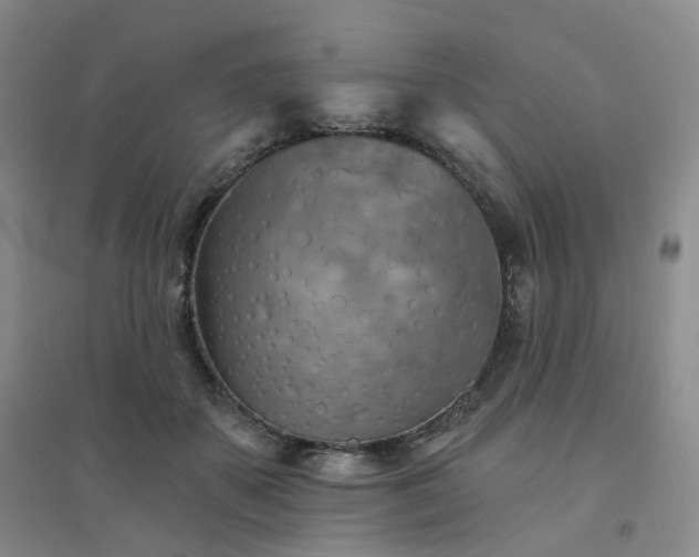 X0000094460507200711151453