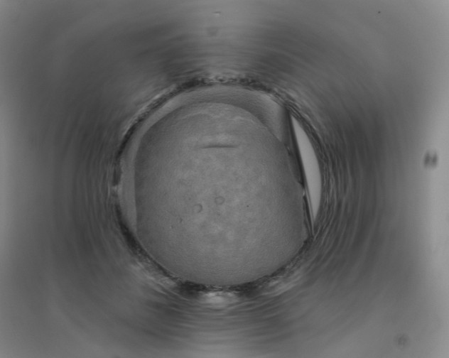 X0000094460508200711151453