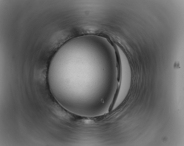 X0000094460509200711151453