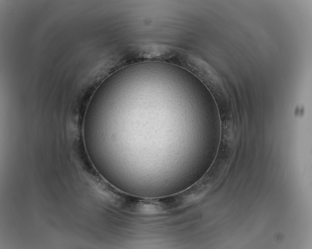 X0000094460510200711151453