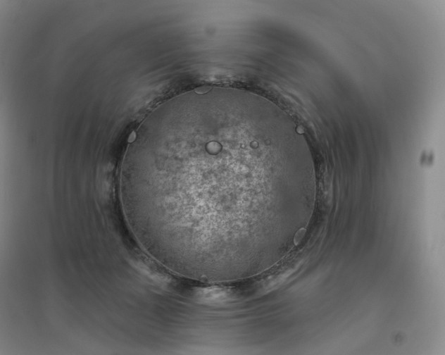 X0000094460511200711151453