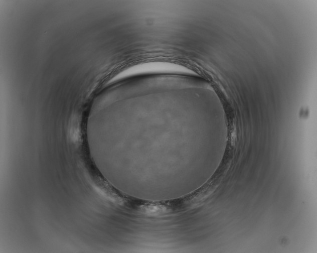 X0000094460512200711151453