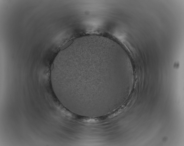 X0000094460513200711151453