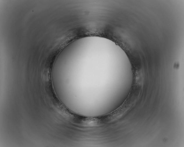 X0000094460514200711151453