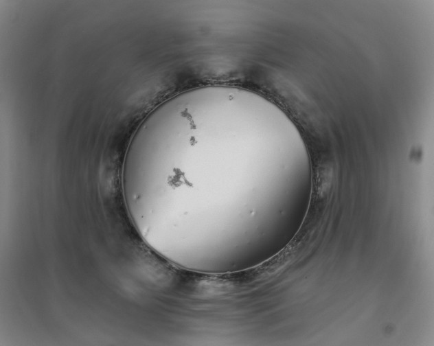 X0000094460515200711151453