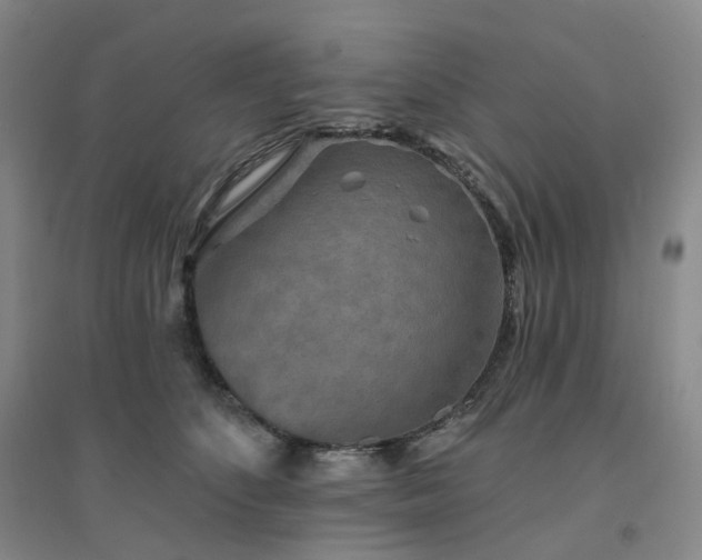 X0000094460516200711151453