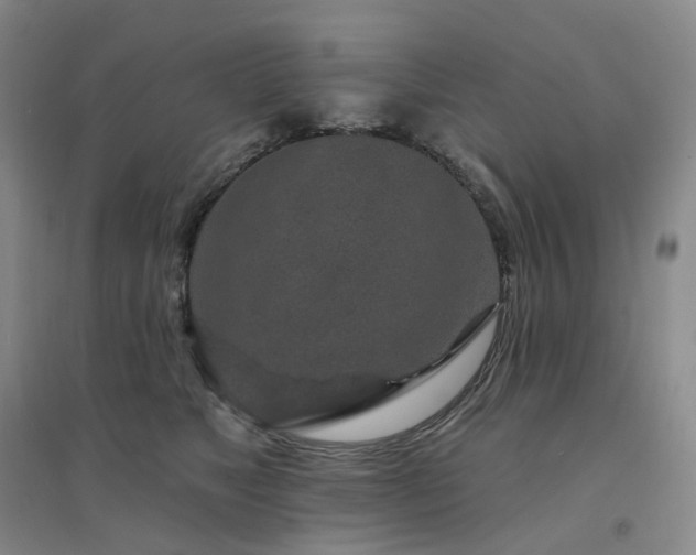 X0000094460517200711151453