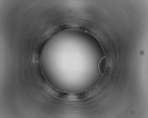 X0000094460518200711151453
