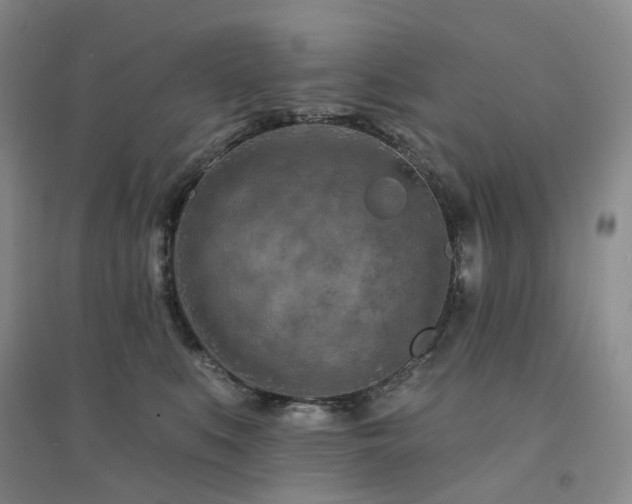 X0000094460519200711151453