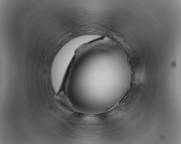 X0000094460521200711151453