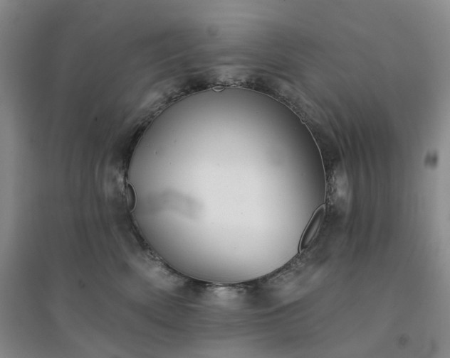 X0000094460522200711151453