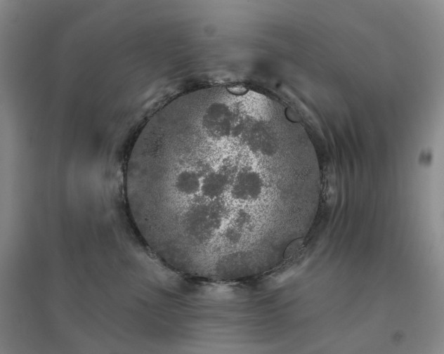 X0000094460523200711151453