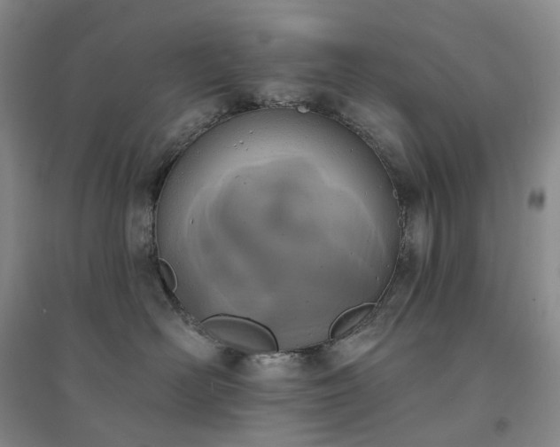 X0000094460526200711151453