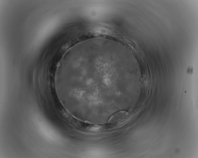 X0000094460527200711151453