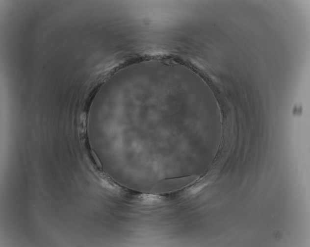 X0000094460528200711151453