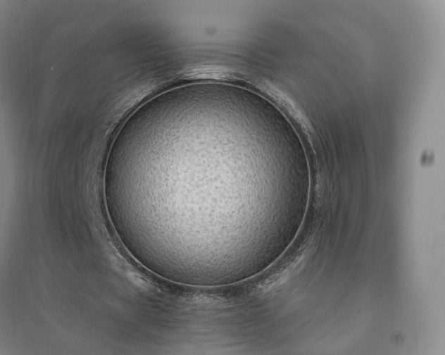 X0000094460529200711151452