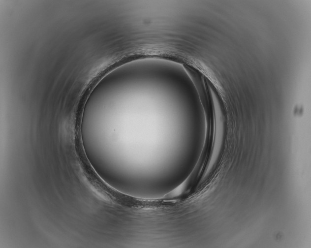 X0000094460530200711151452