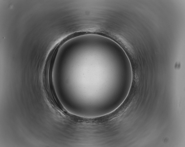 X0000094460532200711151452