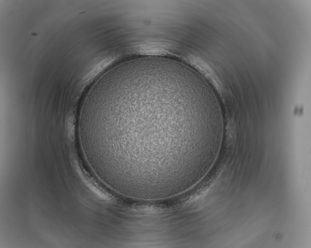 X0000094460533200711151452