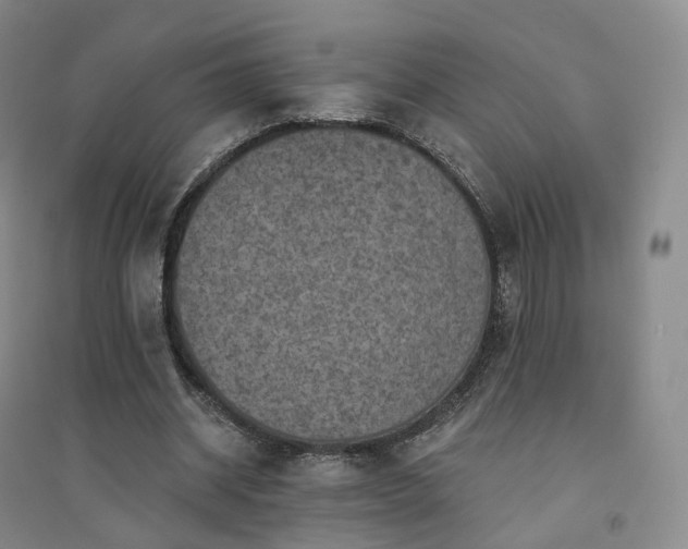 X0000094460534200711151452