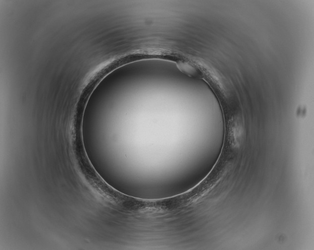 X0000094460536200711151452
