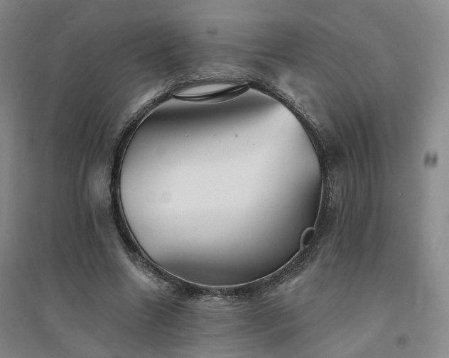X0000094460538200711151452