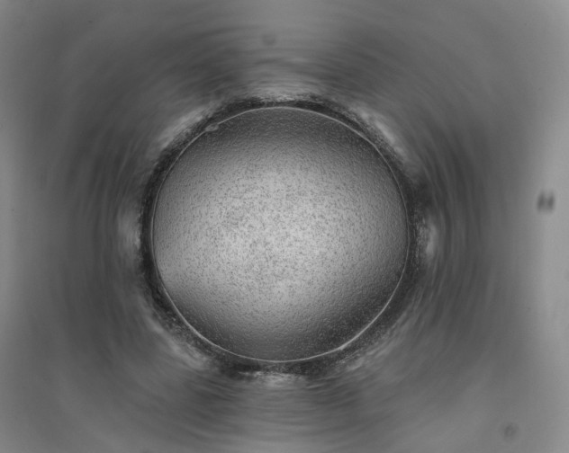 X0000094460539200711151452