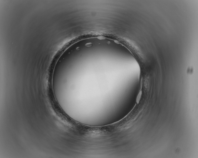 X0000094460540200711151452
