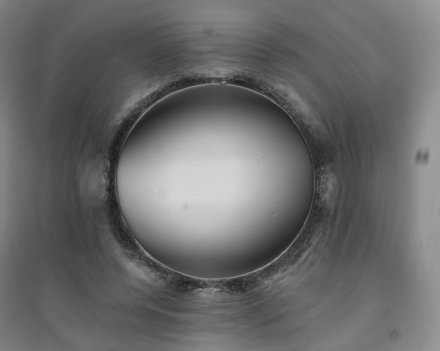 X0000094460544200711151452