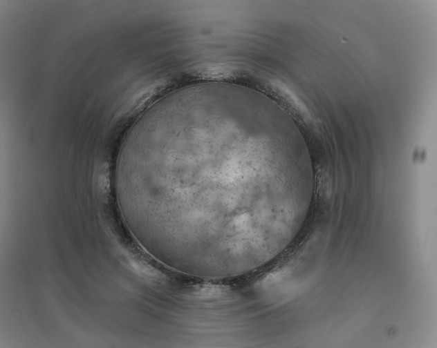 X0000094460549200711151452